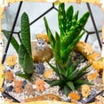 thumbnail image 3 of topjuju 41 Pcs Mini Cat Dog Figurines, Cute Mini Resin Animals, Tiny Miniature Ornament Fairy Garden Accessories for Home Desk Decor, Birthday Party Favors, Car Decor, Wedding, 3 of 7