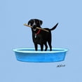 thumbnail image 3 of CafePress - Black Labrador Retriever In Kiddie Pool T Shirt - Men's Classic Graphic T-Shirt, 3 of 4