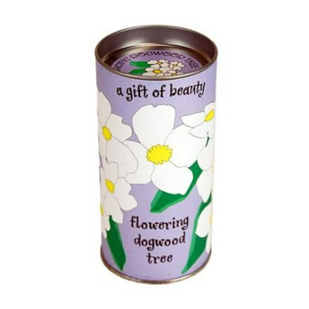 Grow Dogwood Tree Jonsteen Company Tree Seed Kit: Flowering Dogwood Tree - Seeds, Instructions, Starter Soil, Grow Dome ()