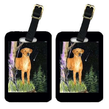 Starry Night Rhodesian Ridgeback Luggage Tags Pair of 2