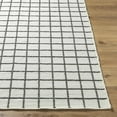thumbnail image 3 of BoutiqueRugs Tauri Traditional, Transitional Area Rug - Ivory, Charcoal - 2' x 3', 3 of 6