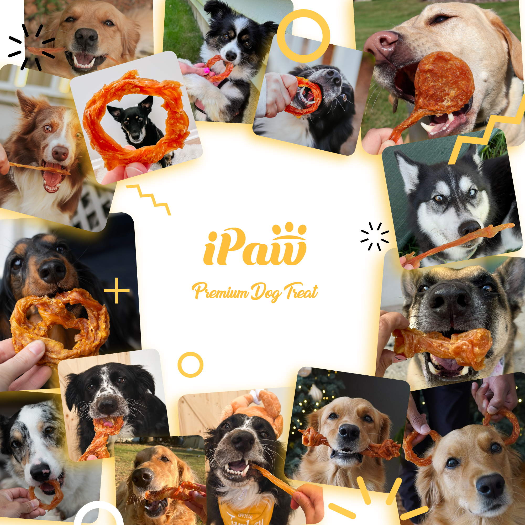iPaw Turkey Tendon for Dogs, Hypoallergenic, All Natural Human Grade Puppy Chew, Dog Treats for Signature Series, Rawhide Alternative, 10 Units/Box  Strips (Large)