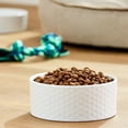 thumbnail image 2 of Pure Balance Grain-Free & Poultry-Free Lamb & Fava Bean Recipe Dry Dog Food, 24 lbs, 2 of 10
