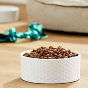 Pure Balance Grain-Free & Poultry-Free Lamb & Fava Bean Recipe Dry Dog Food, 24 lbs