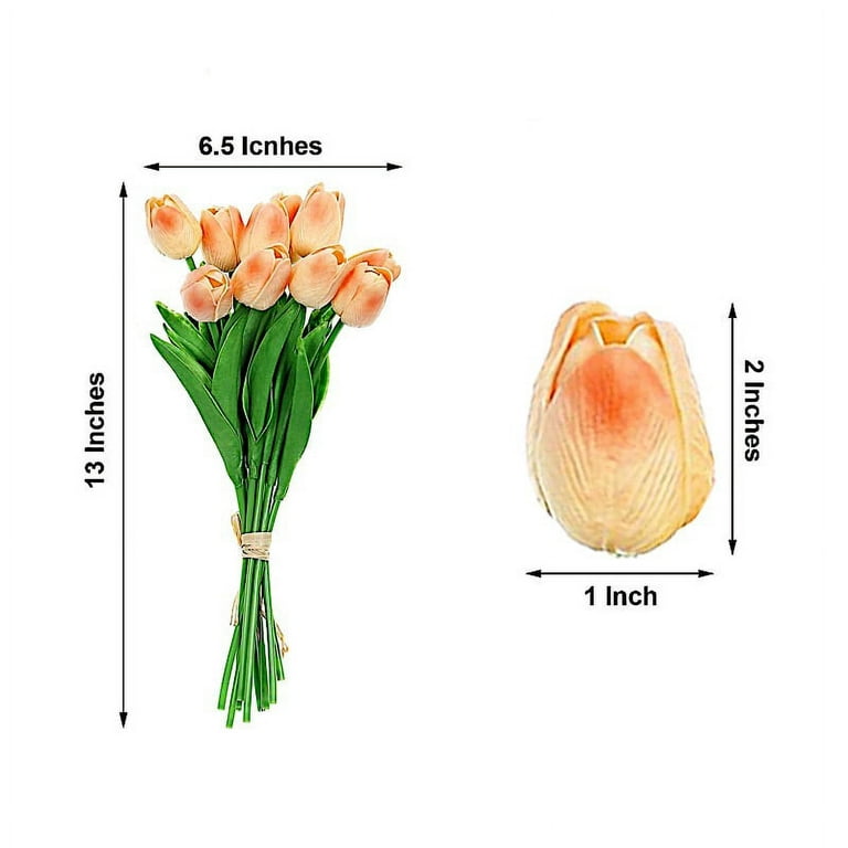 Tulip Flower Stems Bundle, 10 Piece –