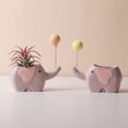 thumbnail image 4 of Flowerpots with Dish Ceramic, Cactus Flower Pots Mini Various Ceramic Flower Pots Flower Pots Succulent Flower Pots New Ideas, Flower Pots, 4 of 5