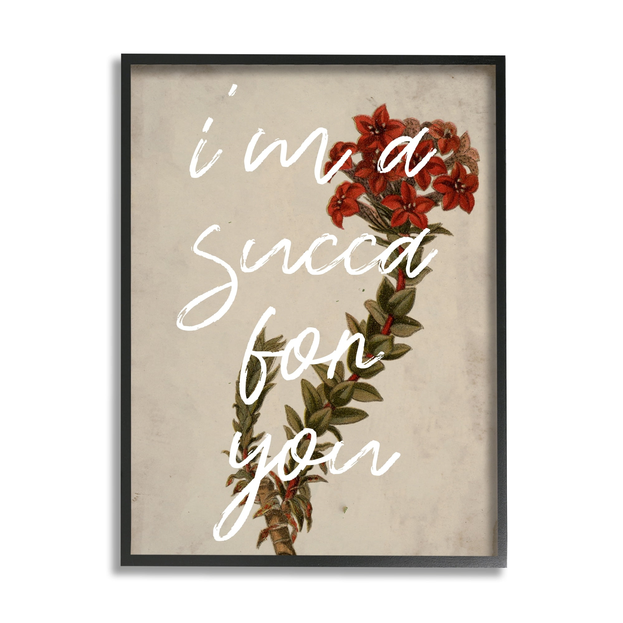 Stupell Industries Succa For You Romantic Witty Plant Humor Phrase Framed Wall Art, 16 x 20, Design by Lil' Rue
