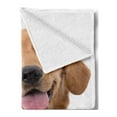 thumbnail image 2 of Golden Retriever Soft Flannel Fleece Blanket, Portrait of Young Pedigreed Dog Wearing a Collar and Tags Domestic Animal, Cozy Plush for Indoor and Outdoor Use, 60" x 80", Multicolor, by Ambesonne, 2 of 5