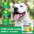 Teeth Cleaning Dental Powder for Dogs, Powder for Pets, Dog Breath