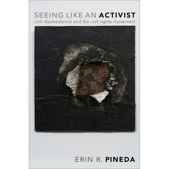 Seeing Like an Activist: Civil Disobedience and the Civil Rights Movement, (Paperback)