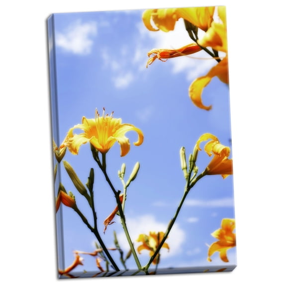 Gango Home Decor Daylilies by Alan Hausenflock (Ready to Hang); One 24x36in Hand-Stretched Canvas
