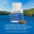 OmegaXL Powerful and Natural Joint Support Supplement 60 Softgels (2