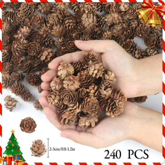 240PCS Pine Cones  Natural Pinecones for Home Party Crafts Gift Wedding Christmas Tree Decoration