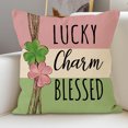 thumbnail image 5 of Flower Pillow Cover Holiday Party Sofa Decoration Cushion Cover Border Linen Printing Cushion Cover, C, 5 of 5