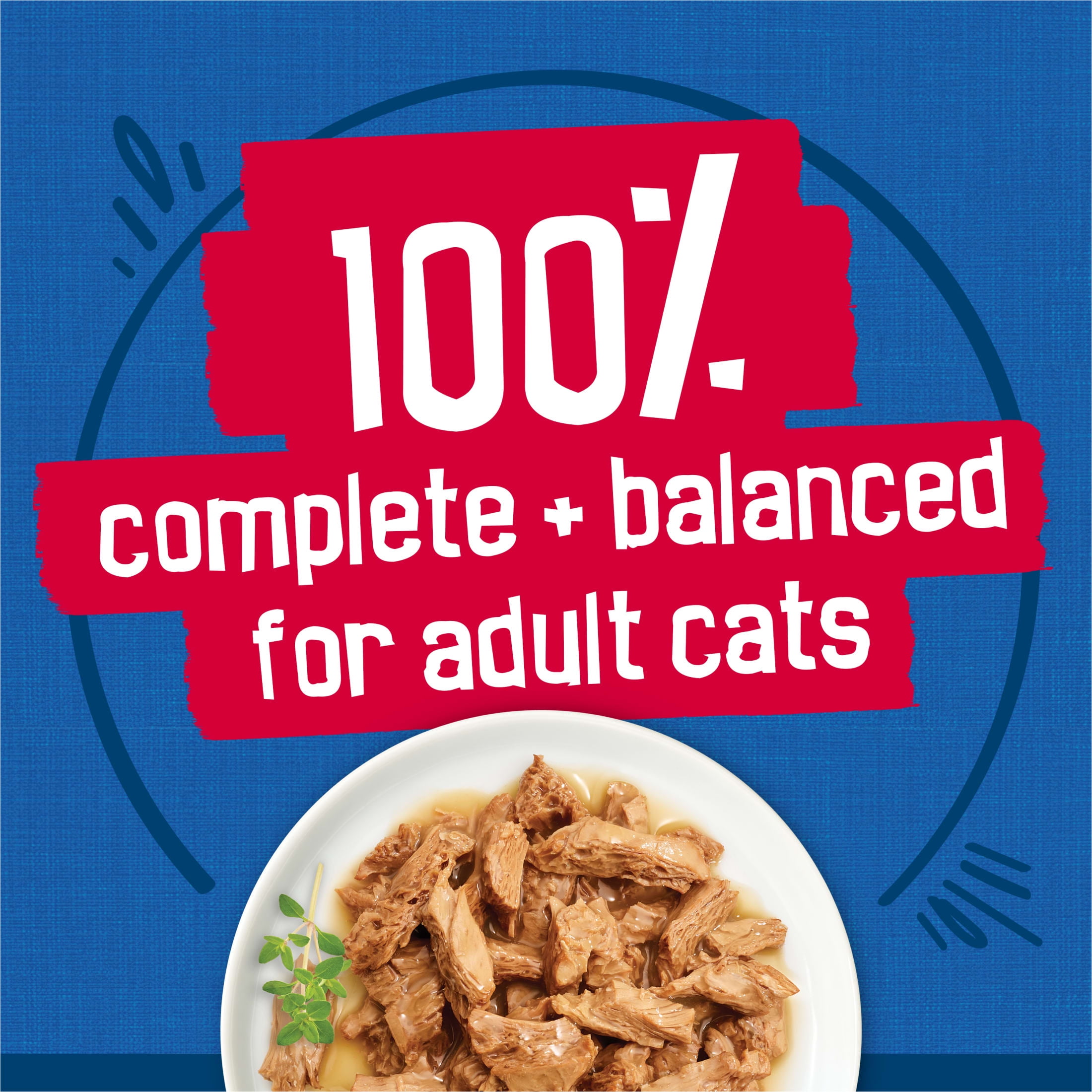 Purina Friskies Wet Cat Food Gravy Variety Pack Seafood Prime Filets Favorites, 5.5 oz Cans
