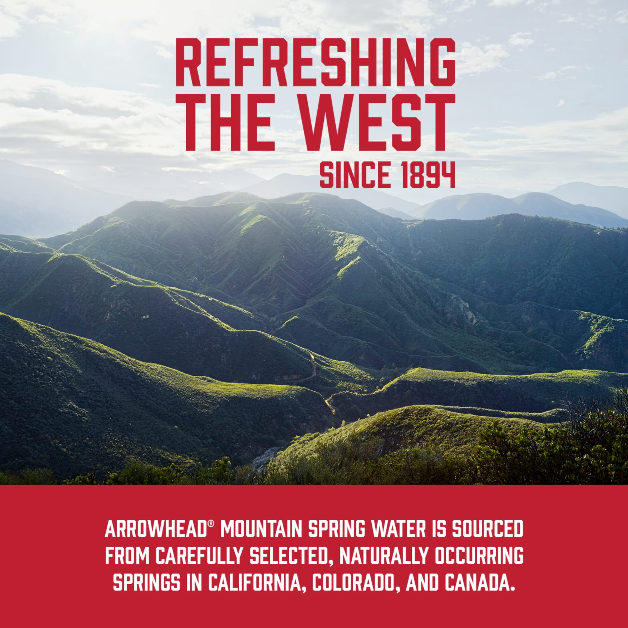 (2 pack) Arrowhead Mountain Spring Water, 12 fl oz, 12-pack Plastic Bottles