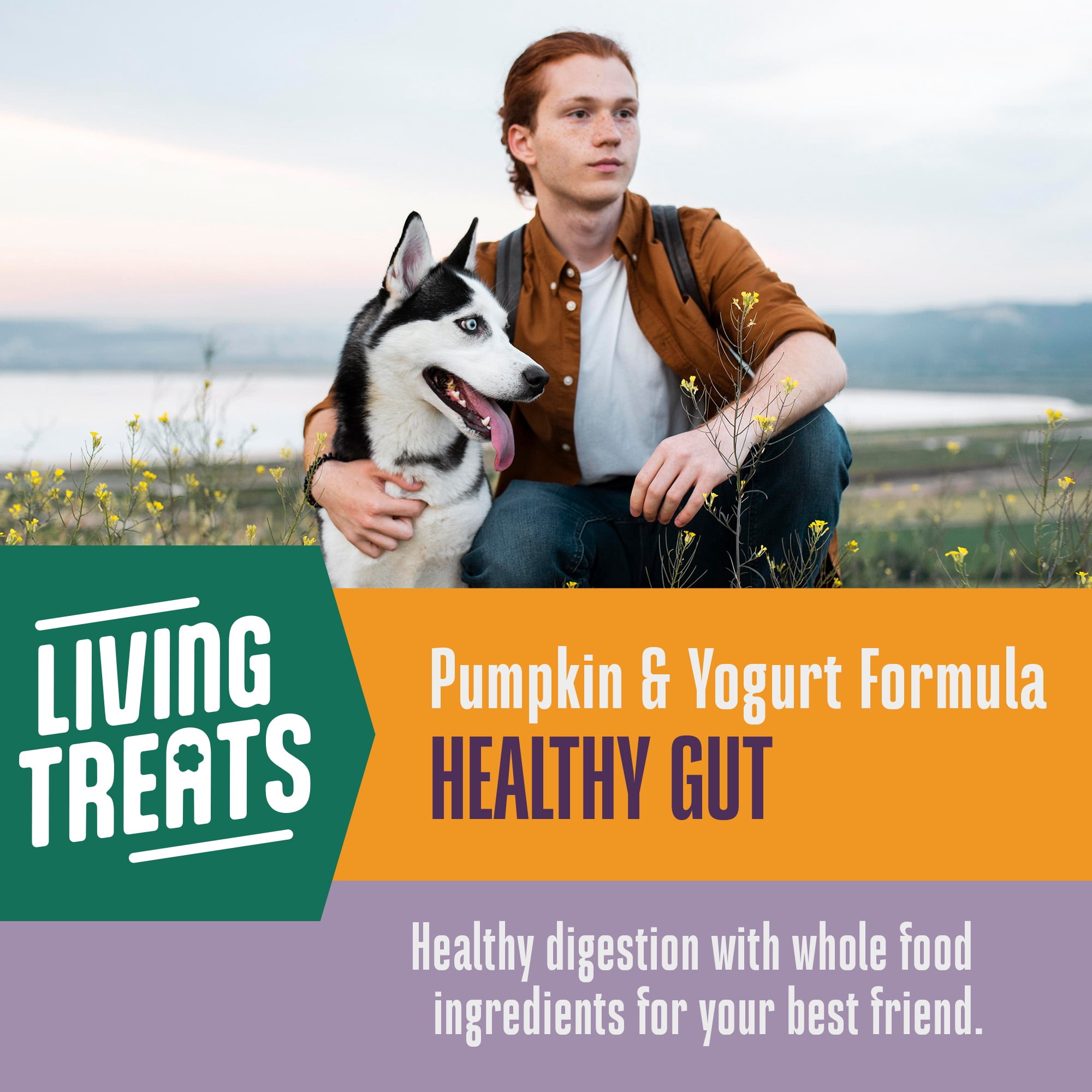 Whole Life Pet Living Treats – Pumpkin and Yogurt Recipe Probiotic Treats For Dogs, 12oz