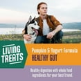 thumbnail image 6 of Whole Life Pet Living Treats – Pumpkin and Yogurt Recipe Probiotic Treats For Dogs, 3oz, 6 of 10