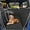 Black, variant on Floor  Hammock for  with Flip Up Rear Seats,    Seat Cover  Seat with Mesh Window, Compatible with F150,   & , Black