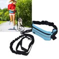 thumbnail image 1 of Reflective Elastic Sports Belt Bag Dog Leash Set Running Traction Rope for Outdoor Use, 1 of 7