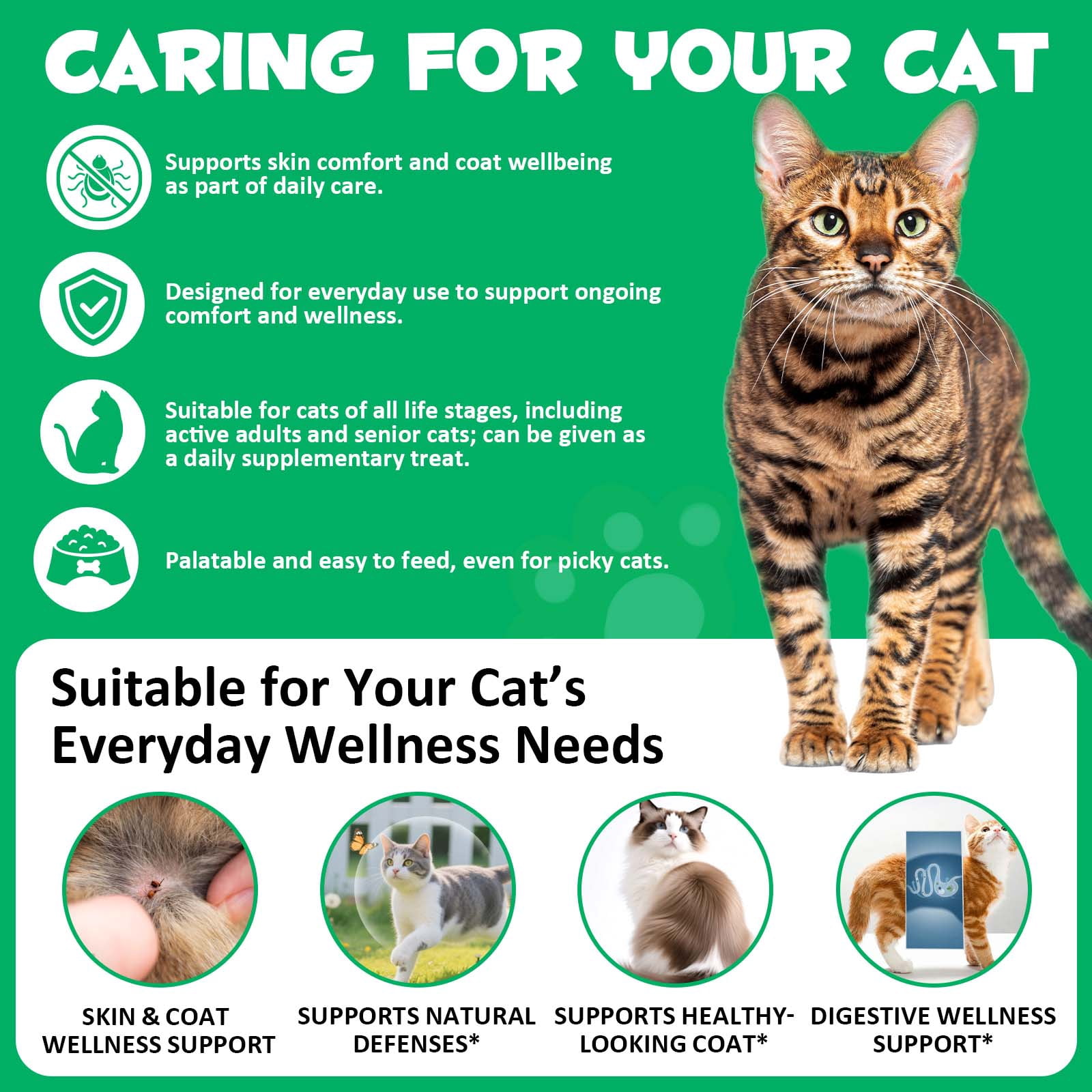 Oimmal Skin & Coat Chews for Cats, Daily Support Treat with Pumpkin & Yeast, Natural De-woming Treats for Digestive & Skin Health, 3.7oz/100g, Chicken Flavor - 5Pack