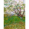 thumbnail image 2 of van Gogh, Vincent 19x24 Black Ornate Wood Framed with Double Matting Museum Art Print Titled -  The Flowering Orchard, 2 of 4