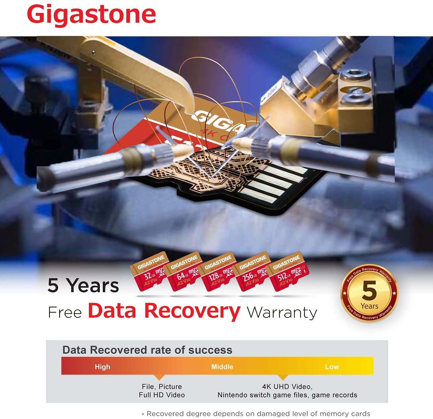 Amazon.com: [5-Yrs Free Data Recovery] GIGASTONE 1TB Micro