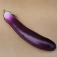 thumbnail image 4 of Realistic Manmade Eggplant Food for Store Kitchen Display, 4 of 5