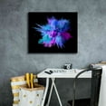 thumbnail image 4 of Epic Graffiti 'Colorful Big Bang' by Epic Portfolio, Giclee Canvas Wall Art, 24"x20", 4 of 6