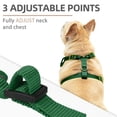 thumbnail image 2 of Set de arnés y correa para perros PUPTECK Christmas Small S, 2 of 6