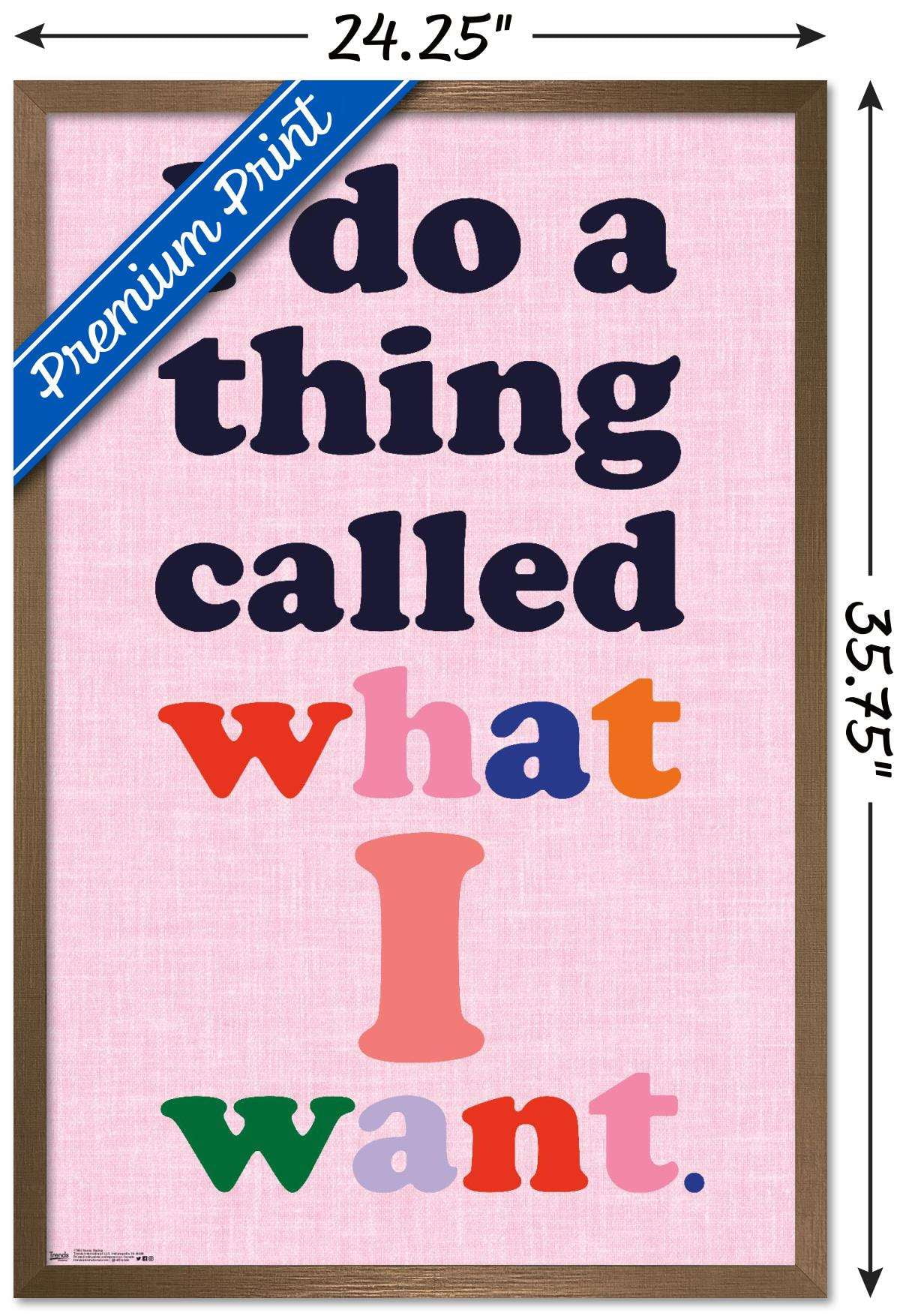 Sassy Saying Wall Poster, 22.375" x 34", Framed