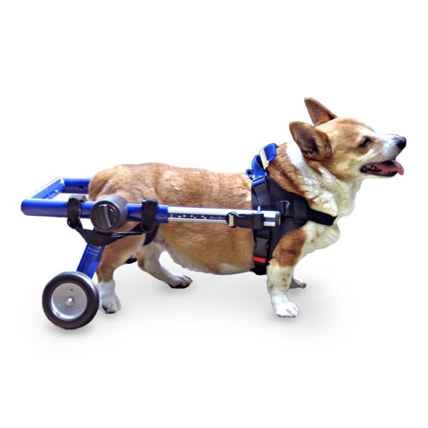 Dog Wheelchair for Medium Dogs 2649 Pounds Veterinarian Approved