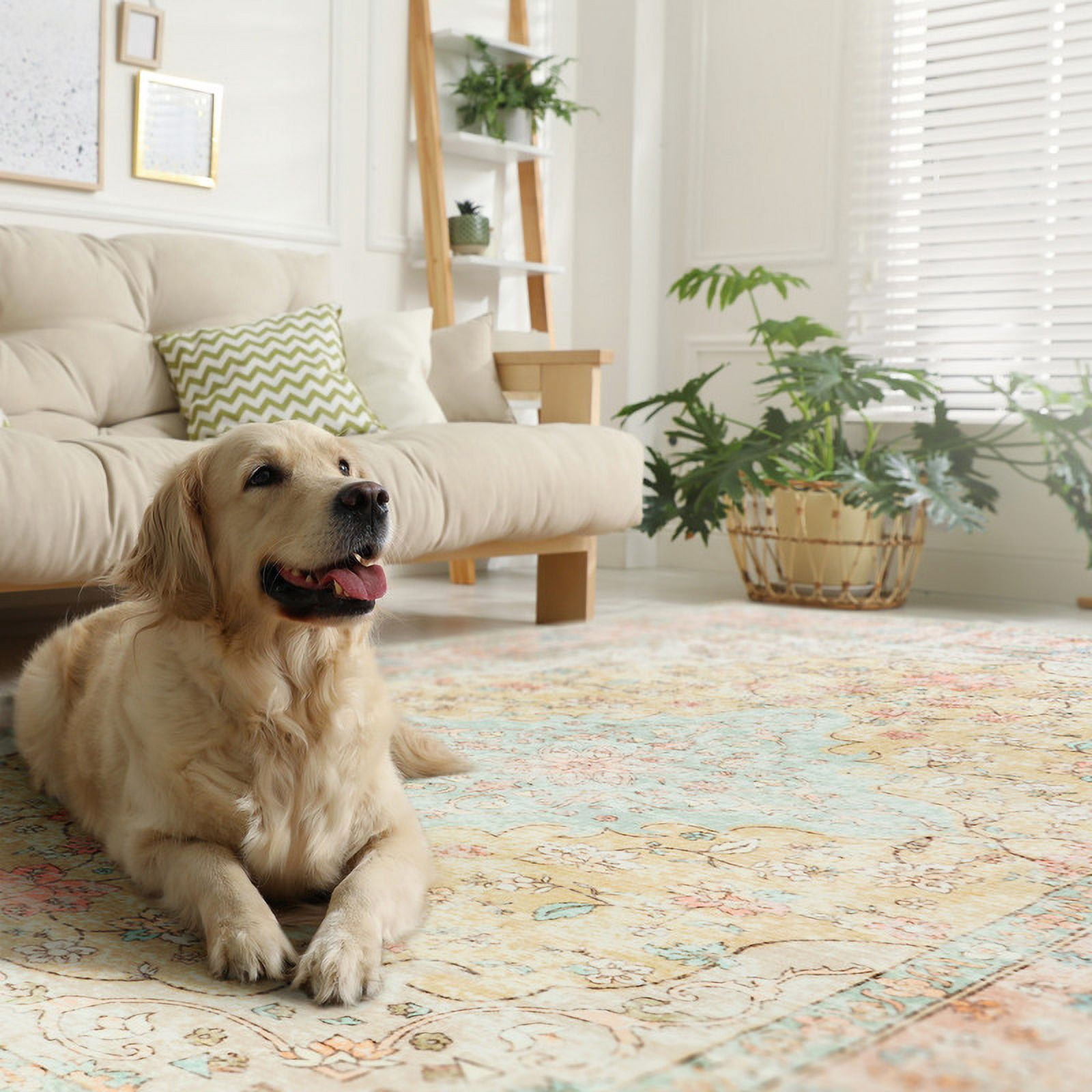 Junovo Boho Area Rugs Vintage Boho Carpet Non-slip Floor Rug for Living Room,6'x9',Orange