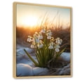 thumbnail image 2 of Designart "Verdant Snowdrop Winter Sunset I" Snowdrops Floater Framed Wall Art Living Room, 2 of 5
