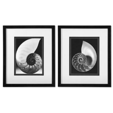 Set of 2 Black & White Nautilus Shell Framed Print Wall Art 27"