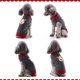 thumbnail image 5 of Suéter gris-xs-cálido para perros y gatos Disfraz de Navidad Disfraz de Halloween Chaqueta de punto cálida Ropa de invierno, 5 of 5