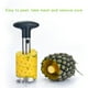 thumbnail image 5 of Rallador de piña de acero inoxidable, utensilio de cocina, pelador, descorazonador, rallador, herramientas de cocina, 5 of 7