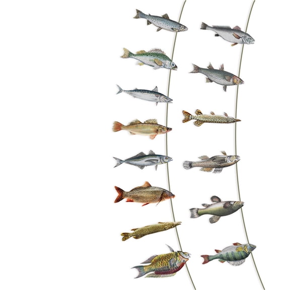 Retirement Fishing Themed Party Supplies Fish Shape Paper Decoration For Fishing Theme Birthday Party Decoration