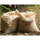Laughing Man Ethiopia Sidama K-Cup Coffee Pods, Light Roast, 16 Count ...