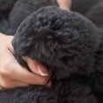 thumbnail image 6 of Dark Gray 140x200cm Ultra Soft Rabbit Faux Fur Blanket, Double-Sided Fluffy Throw for Couch Bed Sofa All Season, 6 of 9