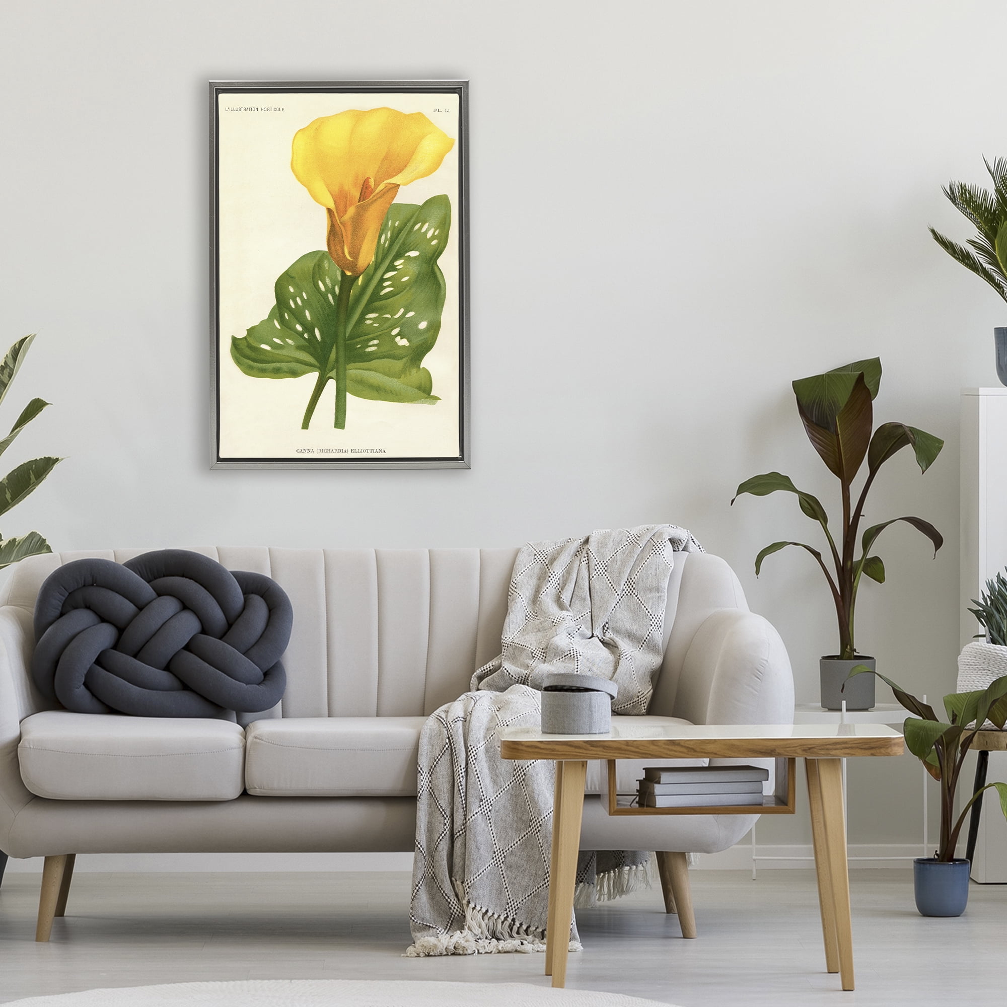 Stupell Industries Yellow Canna Lily Gray Framed Floater Canvas Wall Art, design by Print Collection