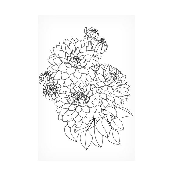 Trademark Fine Art Rosana Laiz Blursbyai Pacey bouquet in black and white Canvas Wall Art