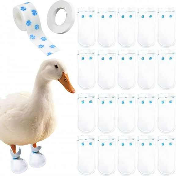 GASTROPOD Disposable Boots for Duck Feet, Bumble Foot for Duck Pet Supplies with Blue Bandage, Large Size