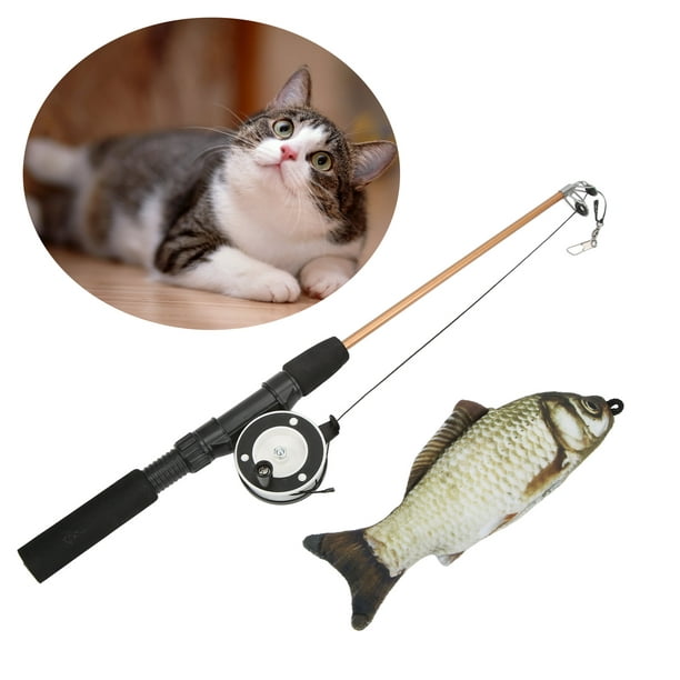 Cat Toys, Fishing Rod Cat Toy Retractable Design Safe to Use for Kicking  for Biting Saury + Fishing Rod : : Everything Else