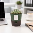 thumbnail image 7 of Leodye 1PCS Water Absorbent Root Control Plant Pot Detachable Plastic Planter Simple Design Cultivation Container for Pothos Indoor Green Plant Growing -4.92x4.92in, 7 of 7