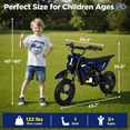 thumbnail image 4 of Hijoke 36V Kids Electric Dirt Bike, 15.5 MPH High-Speed Electric Motorcycle Ride on Toy for Kids Aged 6-10, 133 LBS Max Load, 10-Mile Range, Waterproof Seat, Twist Grip Throttle, Blue, 4 of 9