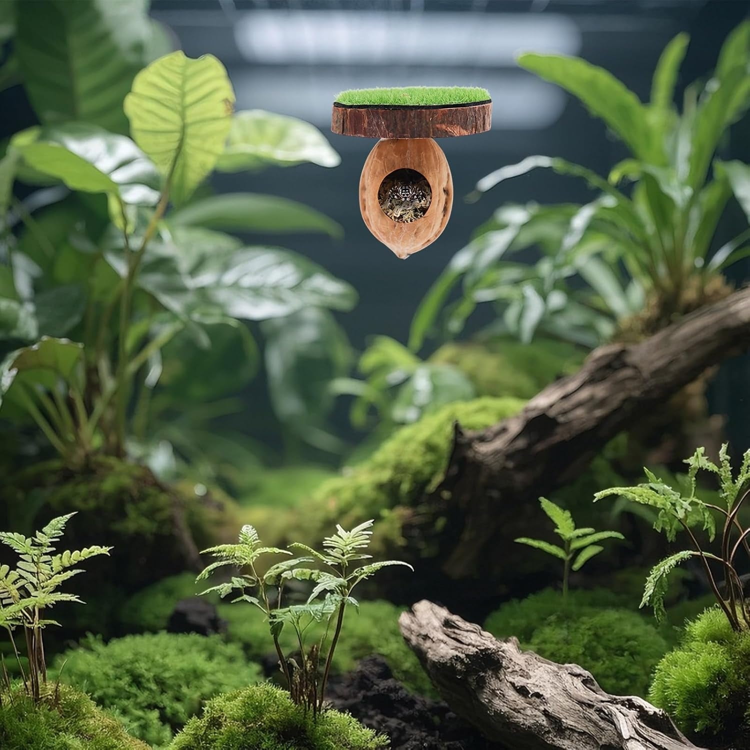 2 Pack Jumping Spider Enclosure Accessories, Magnetic Walnut Hide with Wooden Platform, Plastic Grass Topper, Spider Hideout with Moss for Terrariums