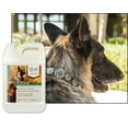 thumbnail image 3 of UltraCruz® Canine Shampoo Concentrate, 1 gallon, 3 of 4
