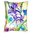 thumbnail image 2 of Two Irises No Cord Pillow 16x20, 2 of 3