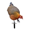 thumbnail image 4 of Figura decorativa de gallina para jardín, figura de animal, figura decorativa, arte de jardín realista Estilo C, 4 of 9